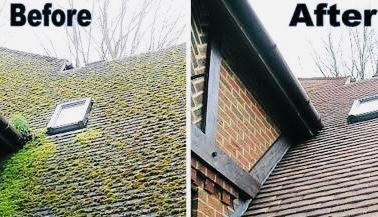 Restoration in Forest Hills Queens Moss, Roof — East NYC Roofing project